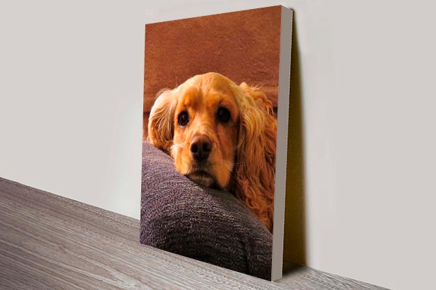 stretched canvas print of dog