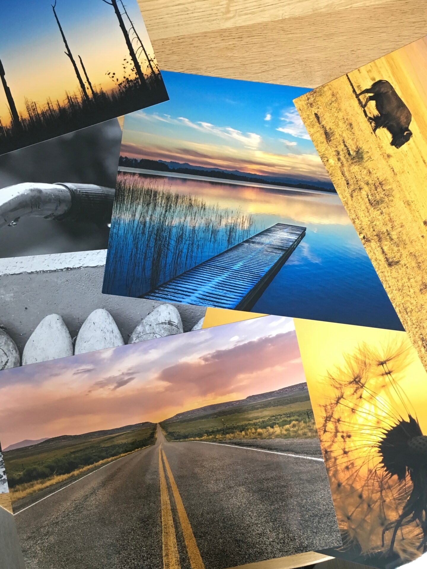 Metal Photo Prints vs. Canvas Prints: How to Decide?