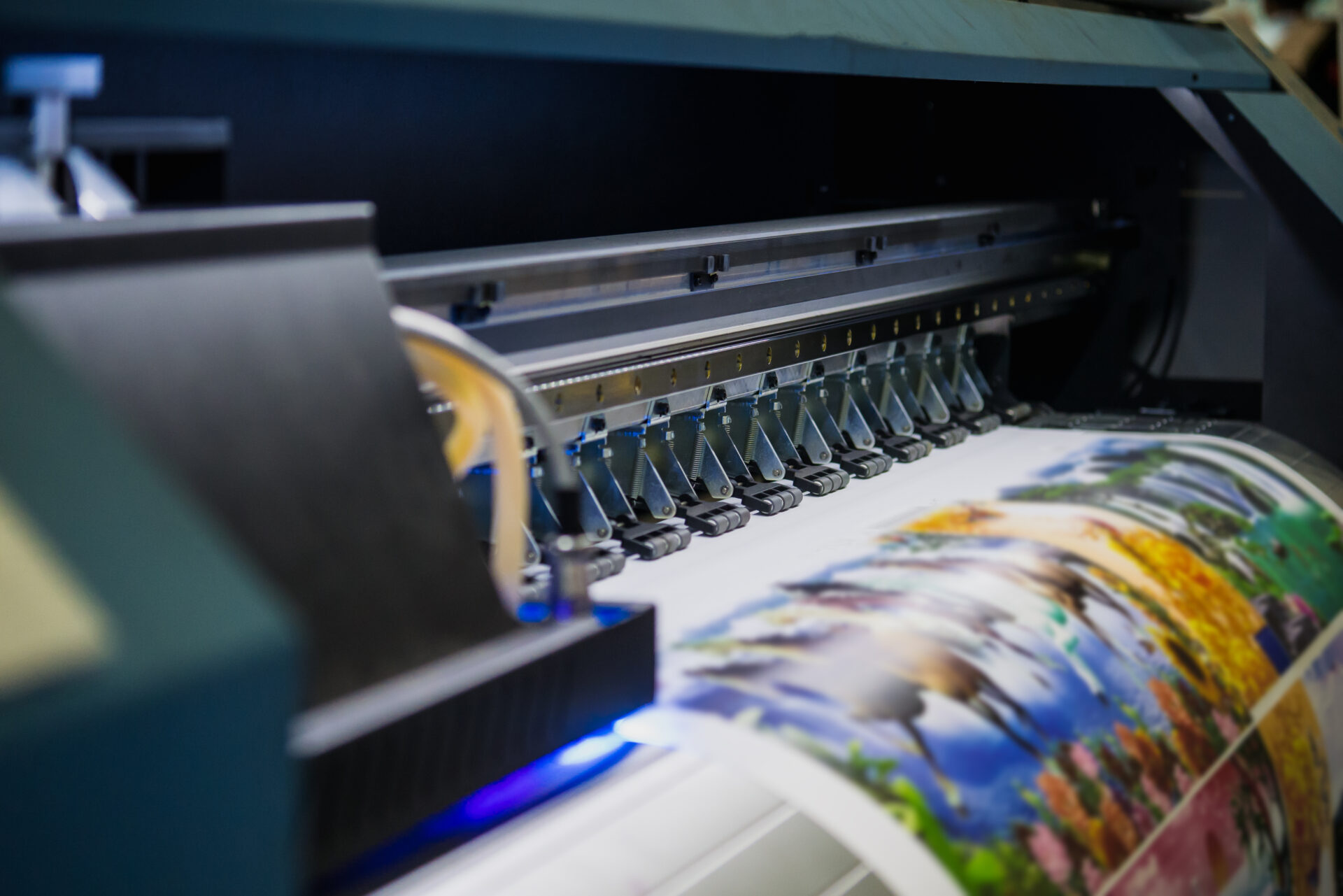Large-format printer producing a colorful photographic art print