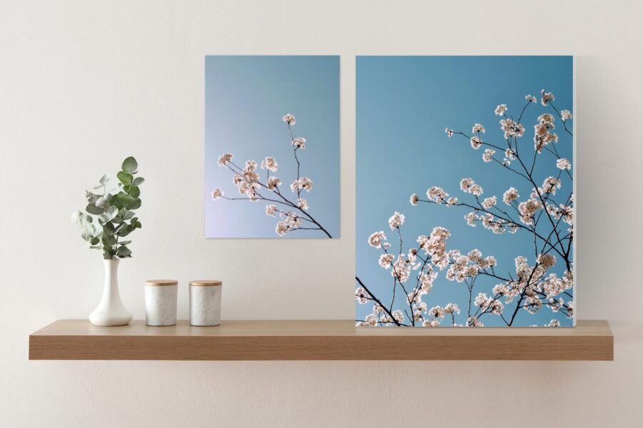 Mounted vs. unmounted print comparison showing a loose cherry blossom print on the wall beside a foam-mounted cherry blossom print standing on a wooden shelf